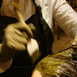 pigments
